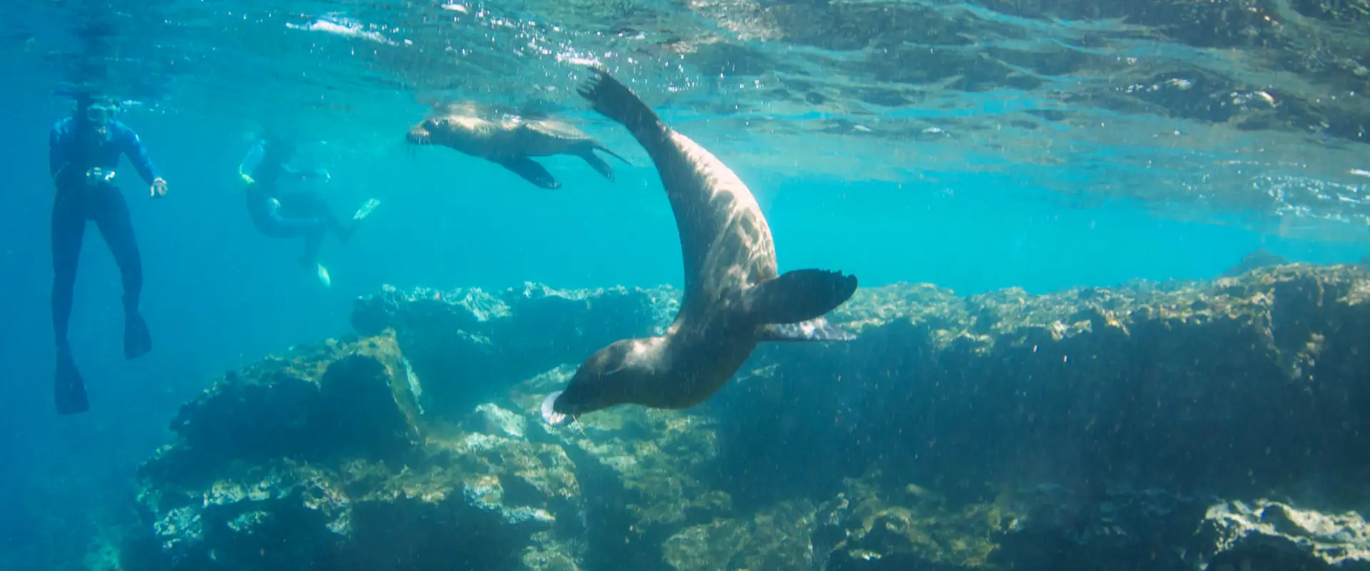Galapagos snorkeling